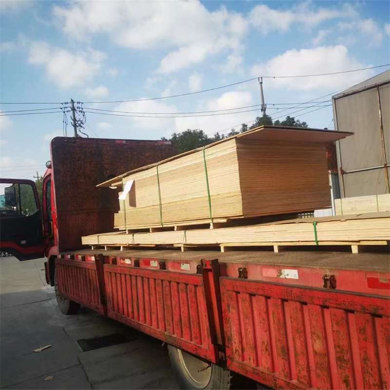 福建漳州龙文至塔城货运专线，一站式物流服务助您成功